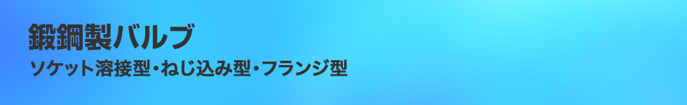 鍛鋼製バルブ